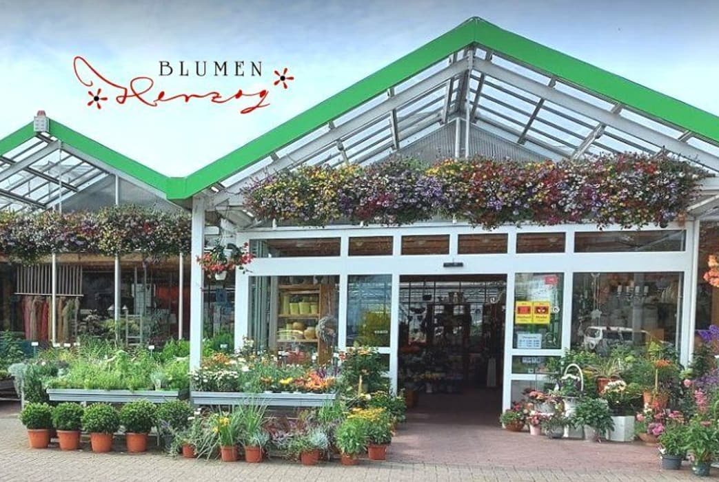 Blumen Herzog von der Straße: grünes Dach, Blumenampeln über dem Eingang, Pflanzen davor